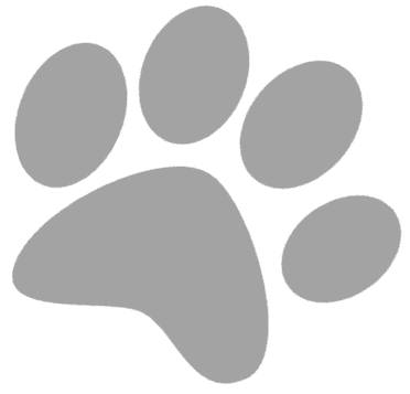 paw-1